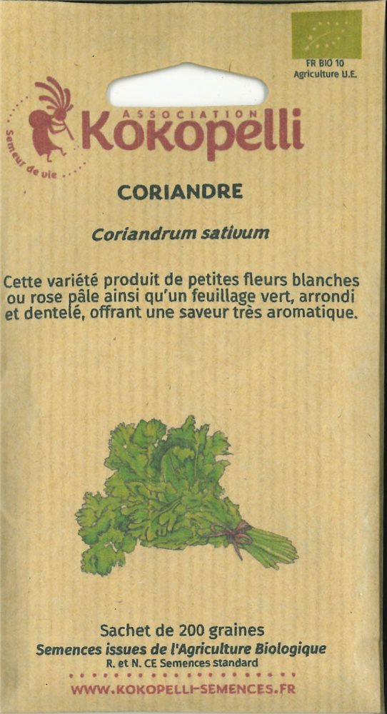 Coriandre cultivée en sachet de 200 graines
